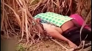 Husband caught wife emotional fuck with lover outdoor in jungle, Desi mms sex